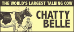 Chatty Belle - The World's Largest Talking Cow