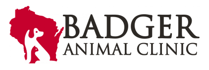 Badger Animal Clinic