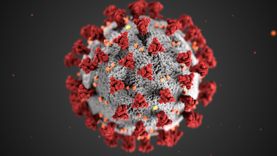 Coronavirus_3D_illustration_by_CDC_1600x9001.png