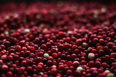 berries-1851161_6400.jpg