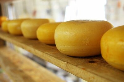 cheese-2785_640.jpg