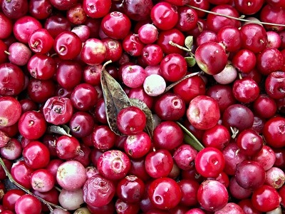 cranberries-112155_640.jpg