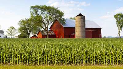 farm-landscape-with-barn-1600.jpg